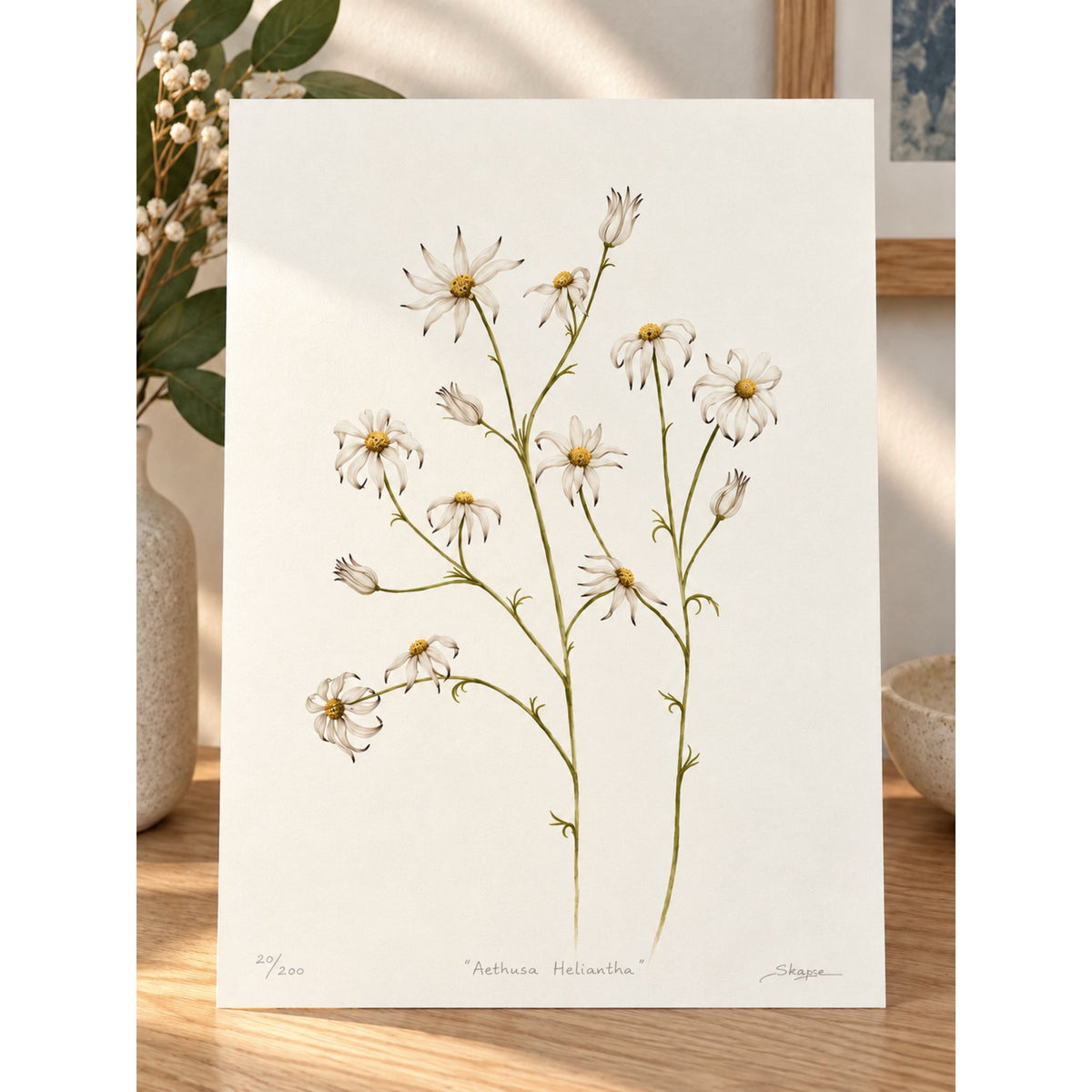 Flannel Flowers - Print