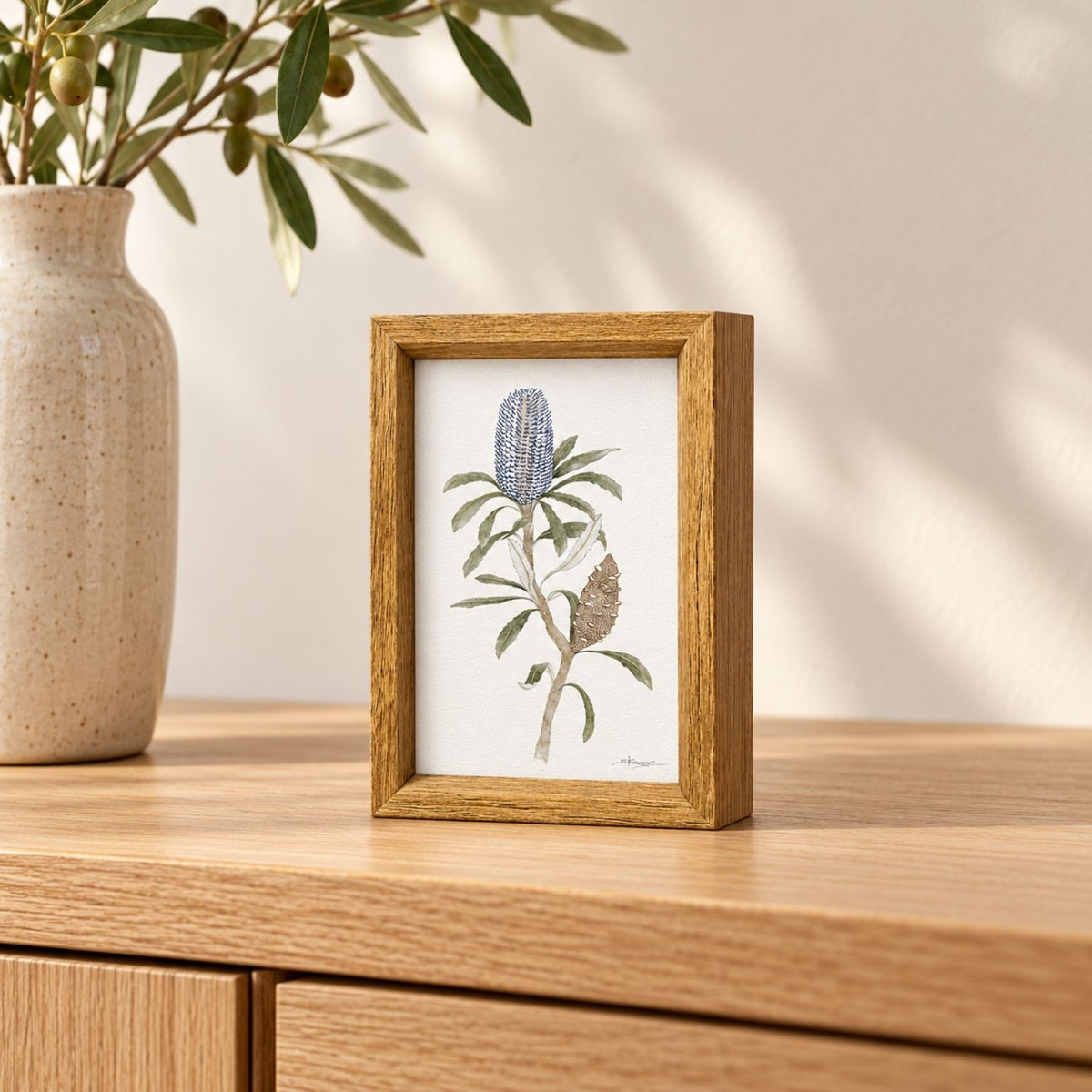 Banksia Plagiocarpa  -  Mini Framed Print