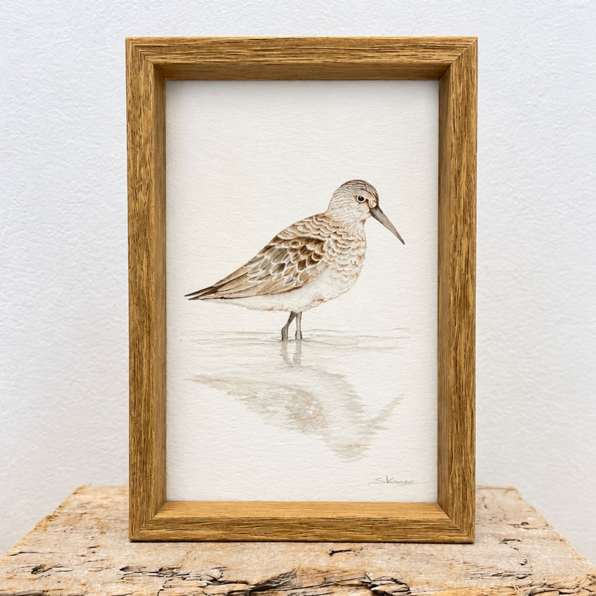 Curlew -  Mini Framed Print