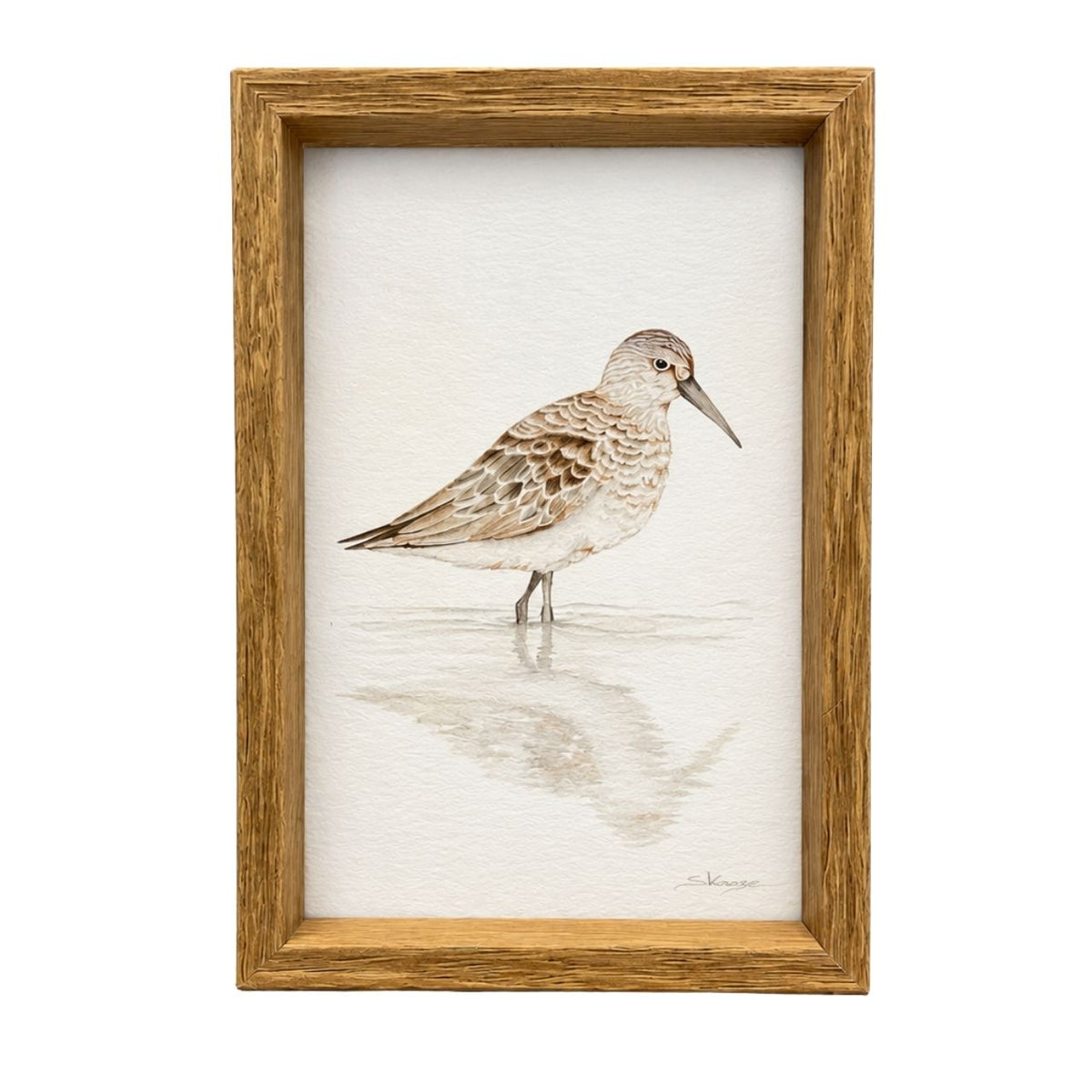 Curlew -  Mini Framed Print