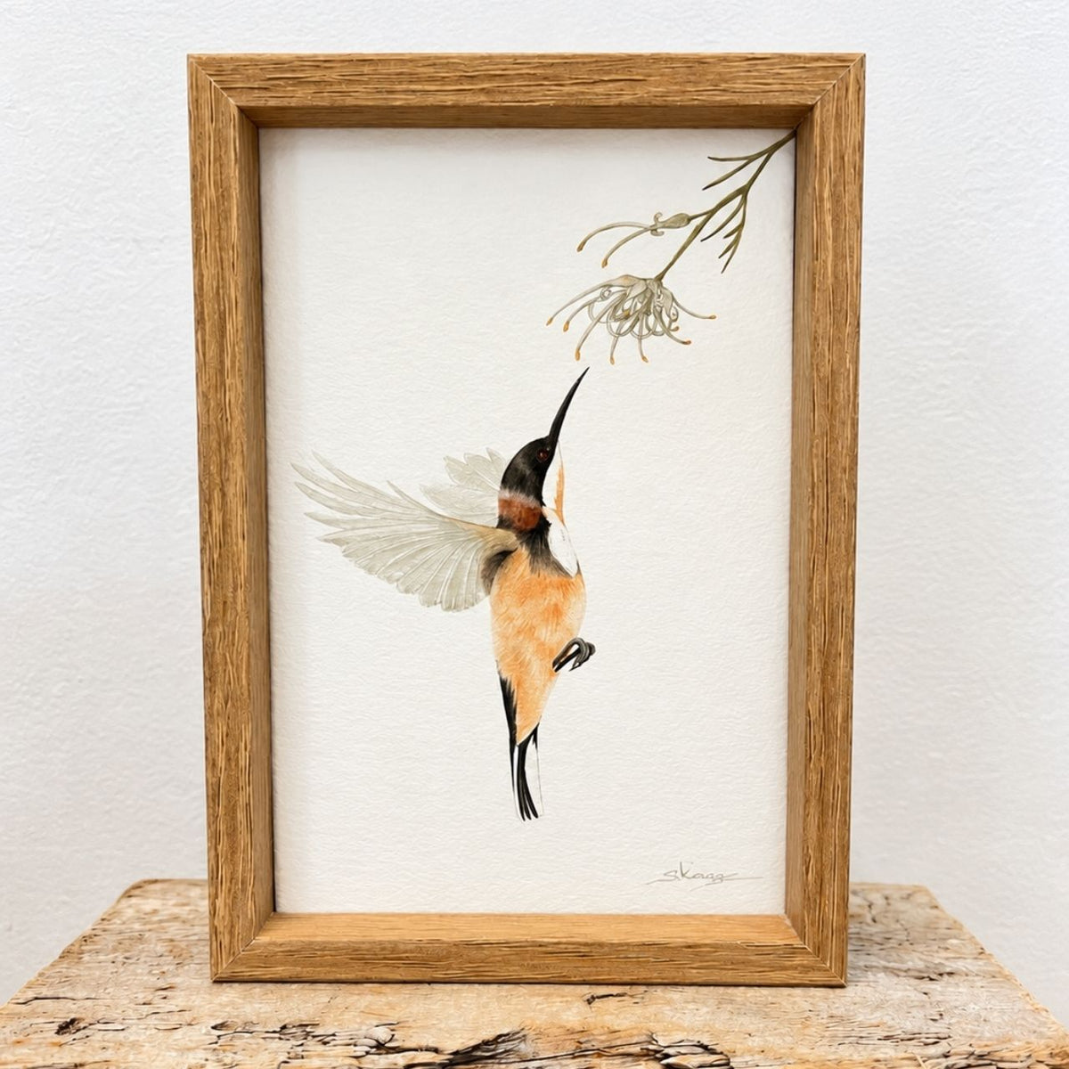 Eastern Spinebill -  Mini Framed Print