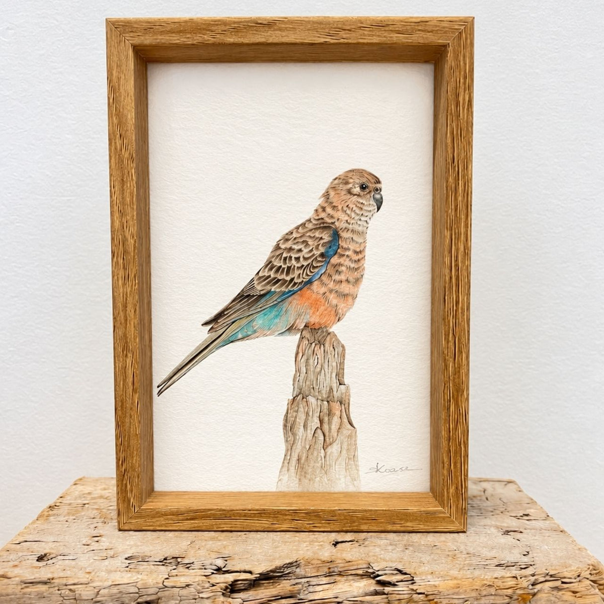Bourke's Parrot -  Mini Framed Print
