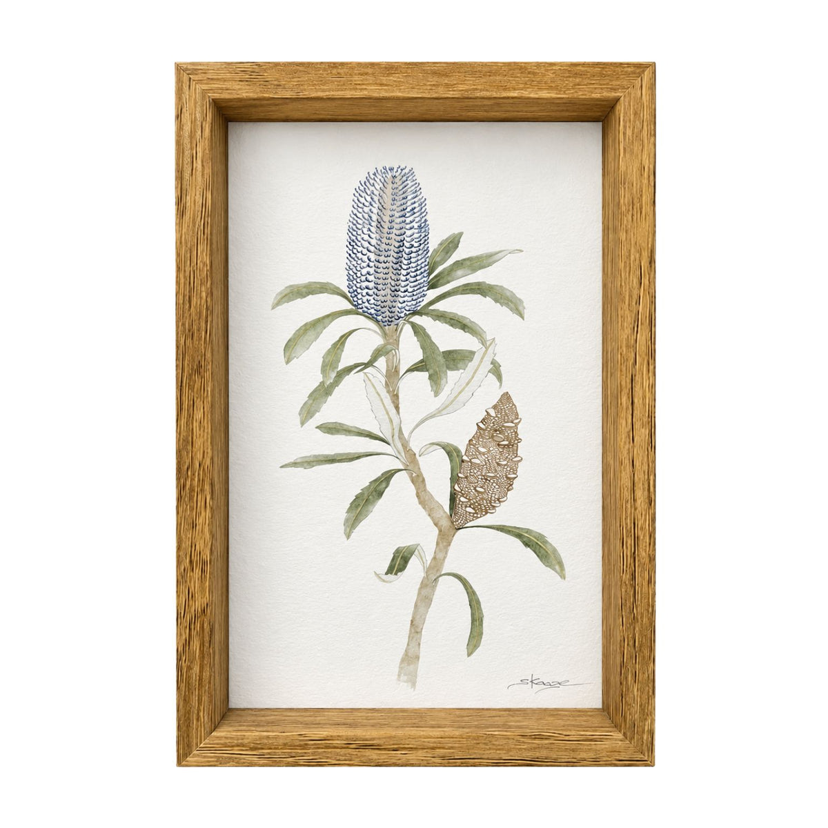 blue banksia print