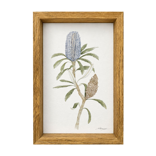 blue banksia print
