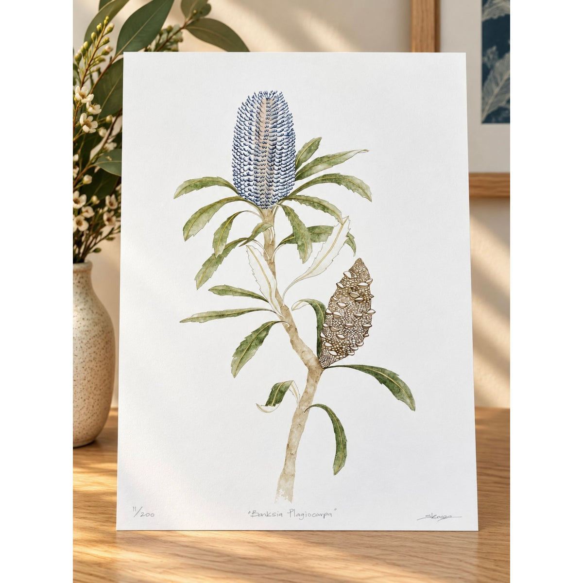 blue banksia print