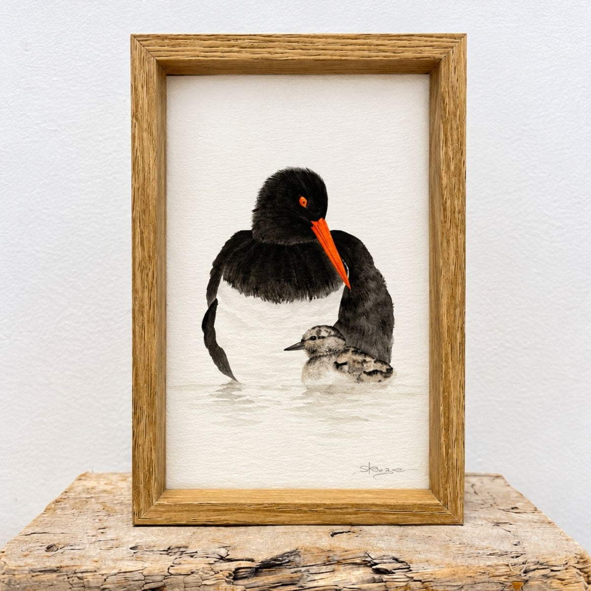 Oyster Catcher & Chick - Mini Framed Print