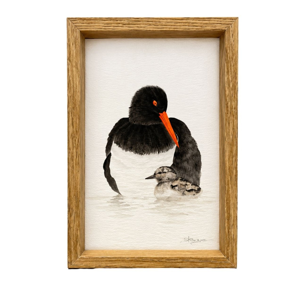 Oyster Catcher & Chick - Mini Framed Print