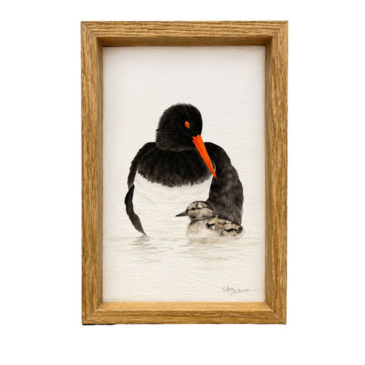 Oyster Catcher & Chick - Mini Framed Print