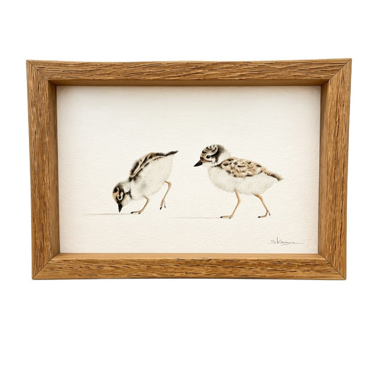 Hooded Plover Chicks -  Mini Framed Print