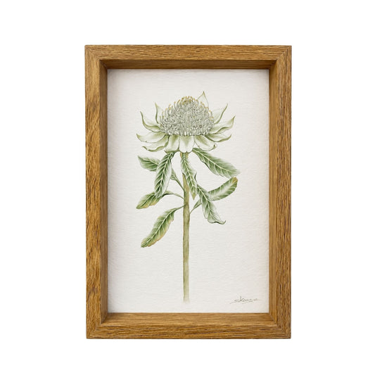 white waratah print