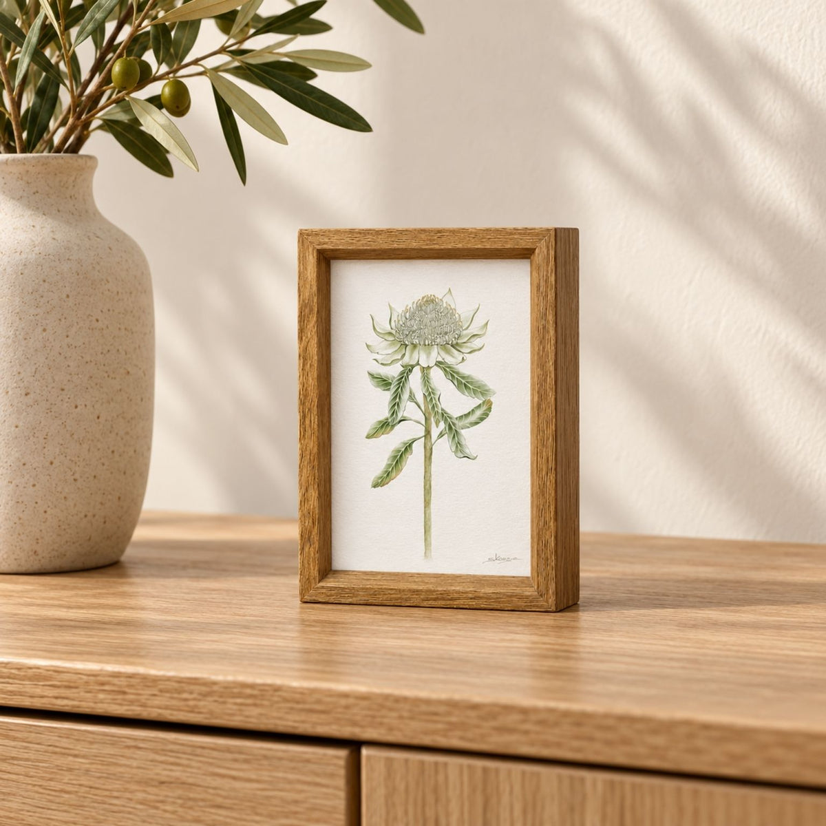 White Waratah -  Mini Framed Print
